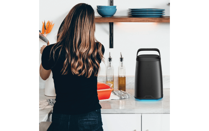 Stereo Speaker with 360° Sound | Acadia | ION Audio