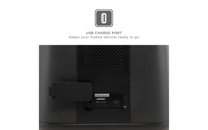 Stereo Speaker with 360° Sound | Acadia | ION Audio